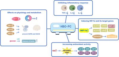 Hyperbaric oxygen preconditioning for prevention of acute high-altitude diseases: Fact or fiction?